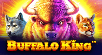 Jogos de hoje ao vivo