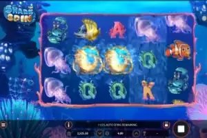 Rio bets